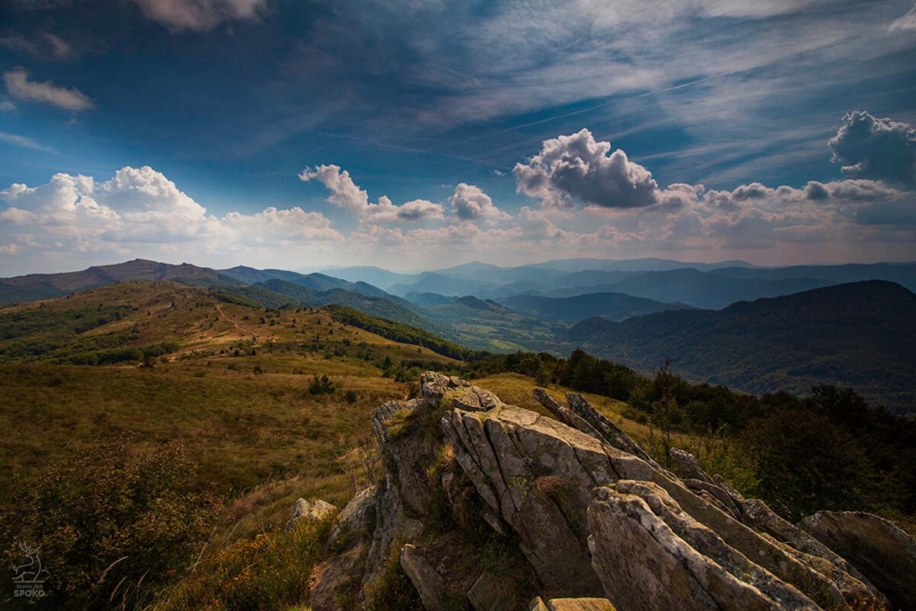 Rozsypaniec, Bieszczady - Jelenia jest SPOKO