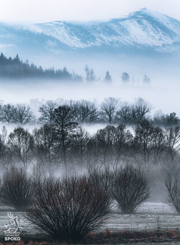 Śnieżka Białolica plakat od Jelenia jest SPOKO